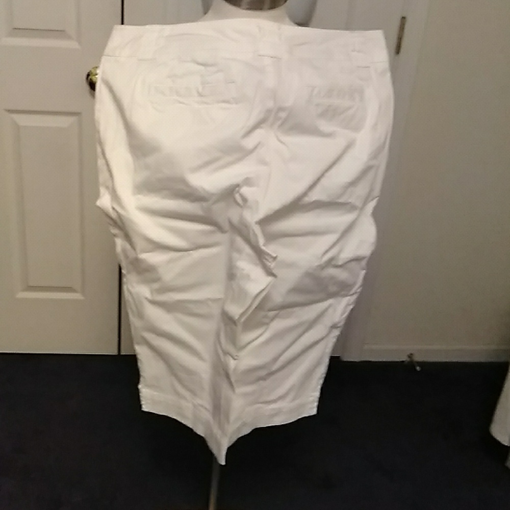 Plus Size Capri Pants - image 3